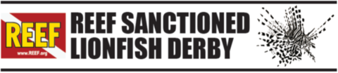 REEF Sanctioned Derby logo