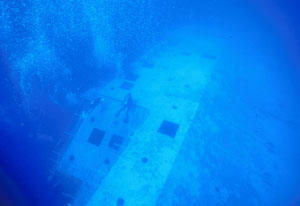 REEF volunteers surveying the hull of the Speigel Grove.  Photo by Laddie Akins, REEF.