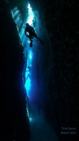 Chuck swimming though a crack Chuck swimming though a crack