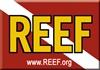 REEF.org
