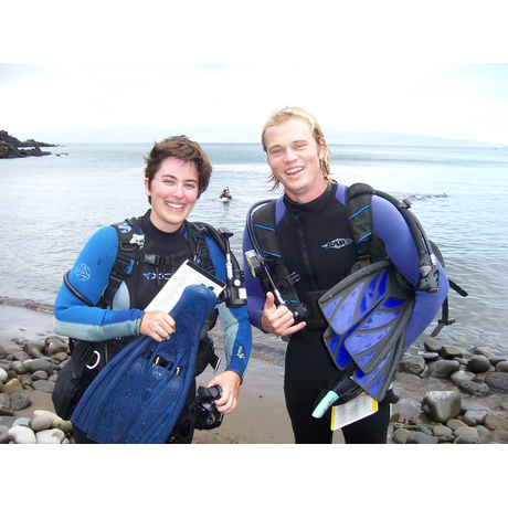 REEF Surveyors
