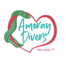 Amoray Divers