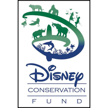 dcf_logo